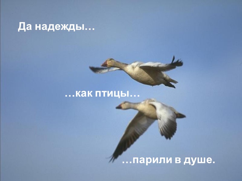 Да надежды… …как птицы… …парили в душе.